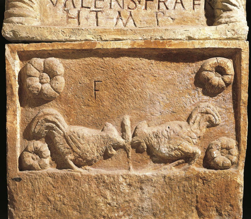 无人,站,横图,特写,侧面,竞争,鸡,对抗,风俗,冲突,民俗,鸟类,历史,娱乐,家禽,古罗马,花,古代,动物,面对面,家畜,摄影,牲畜,活动,打架,打斗,进攻,斗殴,敌对,古代文明,斗鸡,美术工艺,公鸡,彩图,浅浮雕,过去