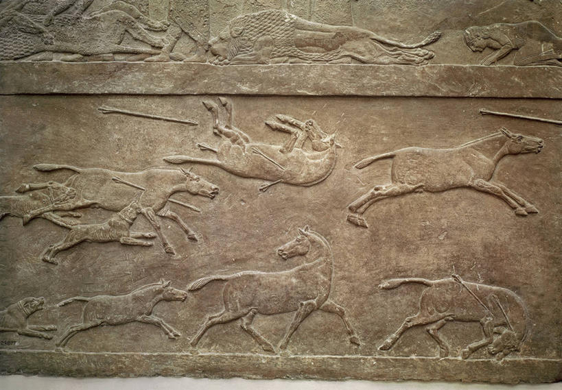 无人,横图,马,捕食,古代,摄影,彩图,减轻