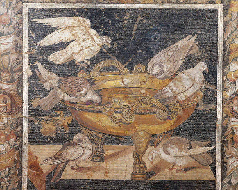 无人,横图,意大利,喝,花纹,斑鸠,鸟类,图案,半空,飞,古罗马,碗,摄影,栖息,意大利文化,坎帕尼亚,庞贝,古代文明,彩图