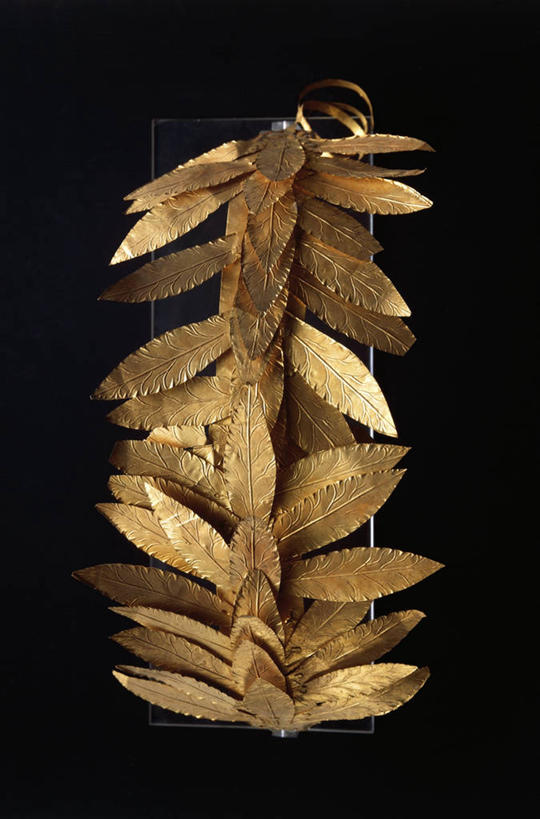 无人,竖图,意大利,黑色背景,历史,古代,一个,摄影,单个,草本,月桂叶,香叶,拉奇奥,天竺桂,香桂叶,桂叶,古代文明,美术工艺,月桂,王冠,彩图,影棚拍摄,过去