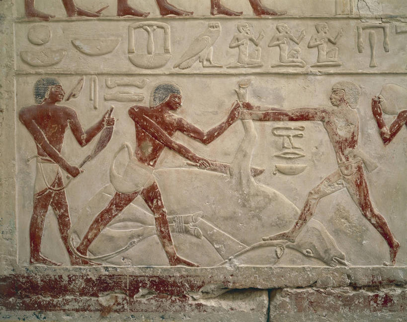 无人,横图,特写,雕塑,埃及,标志,符号,标识,古代,摄影,部分,坟墓,中东,象形文字,公主,萨卡拉,埃及文化,性别符号,屠夫,古埃及文明,古代文明,屠宰场,美术工艺,野牛,彩图,浅浮雕,男性符号