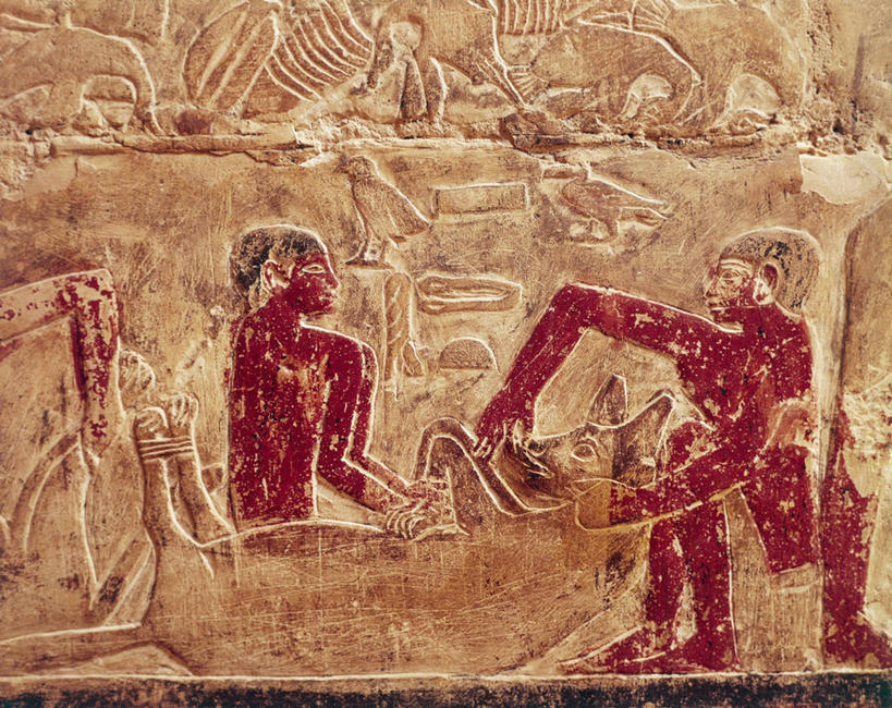 无人,蹲,横图,侧面,埃及,捕食,标志,符号,拿着,历史,标识,壁画,动物,摄影,考古学,中东,鬣狗,性别符号,古埃及文明,古代文明,美术工艺,彩图,男性符号,雕刻术,过去,减轻