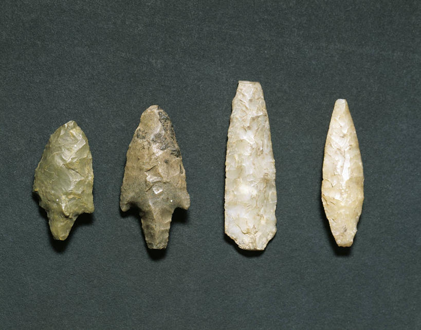 无人,横图,特写,意大利,一排,整齐,排列,箭,四个,摄影,部分,队列,美术工艺,史前时代,彩图,影棚拍摄