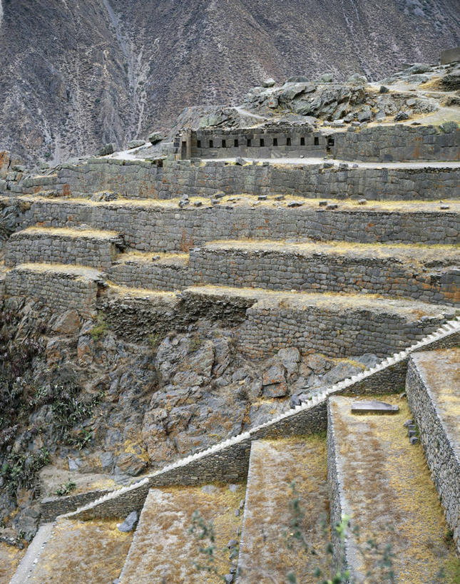 无人,竖图,俯视,室外,白天,农业,梯田,建筑,秘鲁,废墟,台阶,地标建筑,摄影,考古学,要塞,乌鲁班巴河谷,彩图,高角度拍摄,传统文化