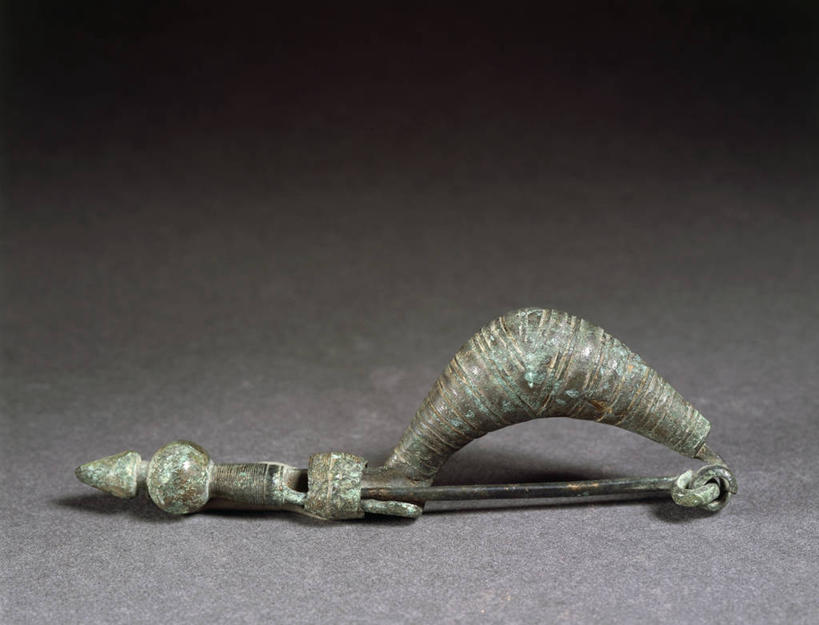 无人,横图,历史,一个,人体,摄影,单个,腓骨,水蛭,美术工艺,彩图,影棚拍摄