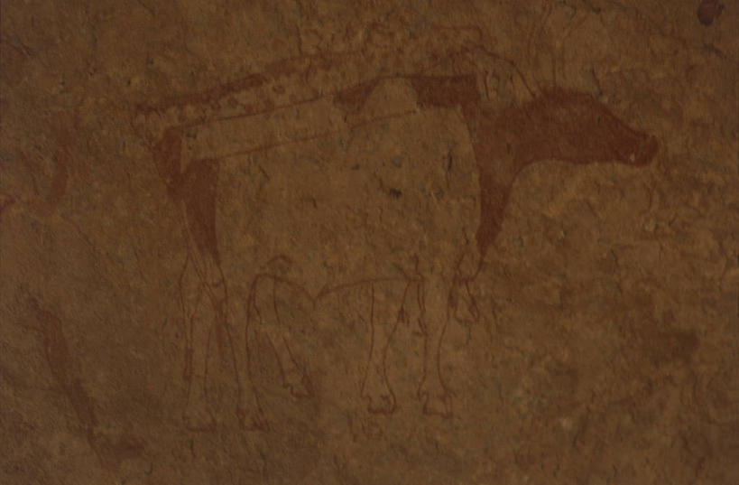 无人,横图,特写,牛,非洲,阿尔及利亚,红色,地标建筑,橙色,摄影,撒哈拉沙漠,史前时代,岩石,彩图