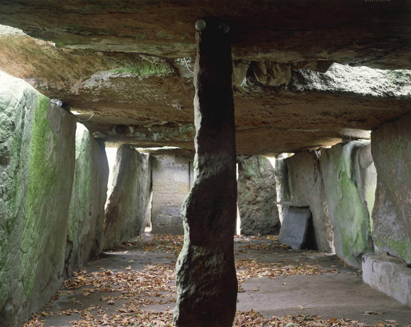 无人,横图,室内,建筑,叶子,法国,柱子,废墟,古代,摄影,考古学,卢瓦尔河谷,稳定,古代文明,索米尔,彩图