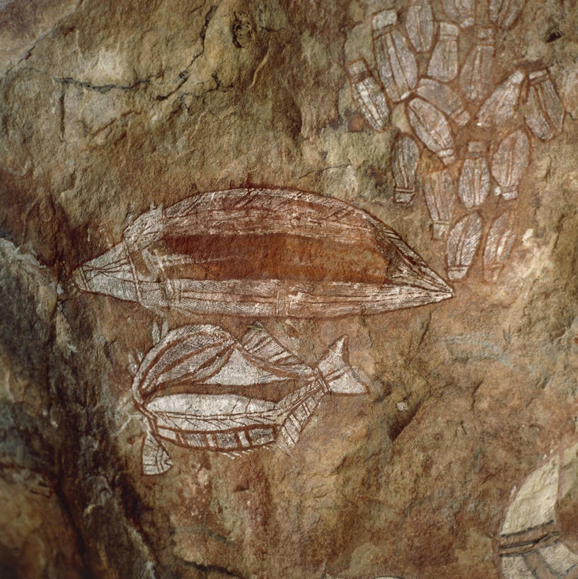 无人,公园,竖图,方图,特写,绘画,澳大利亚,艺术,装饰,墙,文化,鱼类,壁画,墙壁,墙面,地标建筑,摄影,洞穴,华丽,修饰,点缀,考古学,国家公园,大洋洲,澳洲,南方大陆,衬托,美观,雅致,雅观,澳大利亚联邦,北领地,卡卡都国家公园,卡卡杜国家公园,古代文明,美术工艺,史前时代,画画,彩图