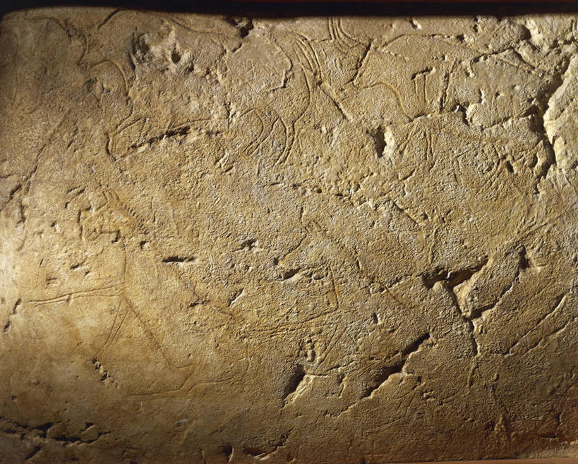 无人,横图,特写,马,意大利,历史,一个,黄色,摄影,单个,考古学,简单,肌理,古代文明,美术工艺,岩石,野牛,彩图,雕刻术