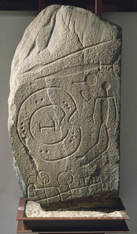 无人,竖图,特写,摄影,死亡,史前时代,彩图,影棚拍摄