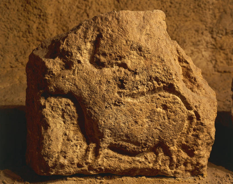 无人,横图,特写,一个,摄影,单个,部分,古代文明,史前时代,岩石,野牛,彩图,影棚拍摄,浅浮雕,石器时代