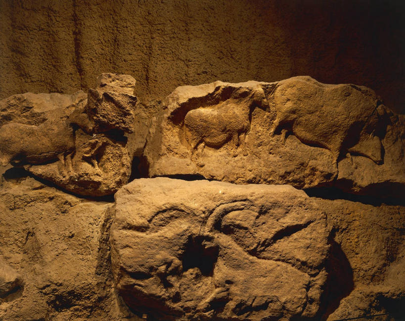 无人,横图,特写,摄影,部分,古代文明,史前时代,岩石,野牛,彩图,影棚拍摄,浅浮雕,石器时代