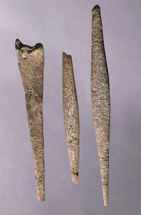 无人,竖图,特写,灰色背景,形状,骨头,三个,灰色,摄影,史前时代,彩图,影棚拍摄,石器时代
