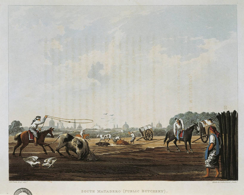 横图,插画,室外,白天,绘画,数码,科技,马,骑马,阴影,艺术,网络,首都,高光,几何,计算机图形,合成,图画,历史,画,摄影,颜料,美术,电脑合成图,数码合成图,合成图,漫画,写实,具体,具象,布宜诺斯艾利斯,屠宰场,彩图