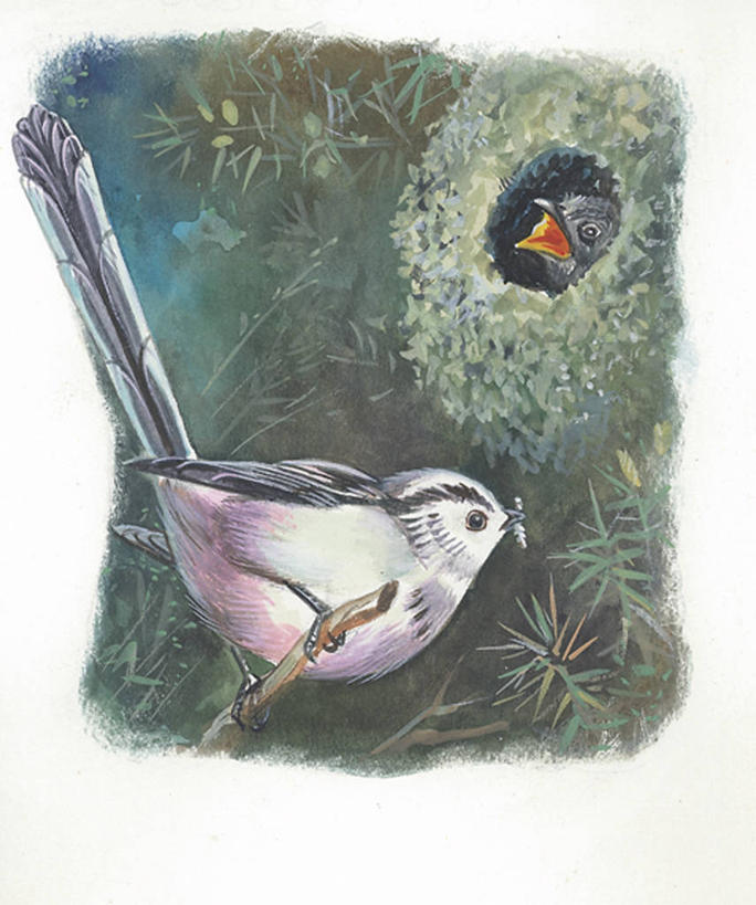 无人,竖图,插画,室外,白天,数码,科技,阴影,网络,长尾山雀,鸟巢,高光,几何,计算机图形,合成,图画,画,自然,动物,两只,电脑合成图,数码合成图,合成图,漫画,写实,具体,具象,喂养,美术工艺,彩图,动物学