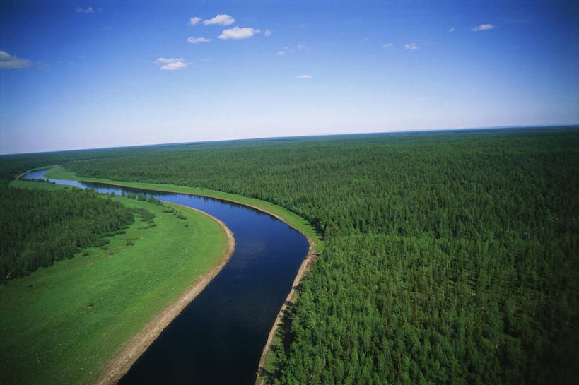 无人,横图,俯视,航拍,室外,白天,旅游,度假,河流,美景,森林,俄罗斯,弯曲,地平线,地形,景观,辽阔,地面,娱乐,风景,自然,享受,休闲,广阔,景色,放松,摄影,宁静,一望无际,鸟瞰,自然风光,延伸,西伯利亚,针叶林,万里无云,天地相交,无边无际,一马平川,自然地理,彩图,高角度拍摄