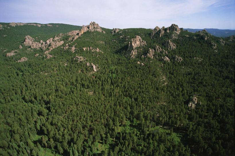 无人,公园,横图,俯视,航拍,室外,白天,森林,山脉,美国,地形,树,绿色,风景,摄影,北美,北美洲,国家公园,岩层,鸟瞰,美洲,南达科他州,北亚美利加洲,亚美利加洲,南达科他,草狼之州,晴朗之州,黑山,卡斯特州立公园,考斯德州立公园,岩石,彩图,高角度拍摄,美利坚合众国