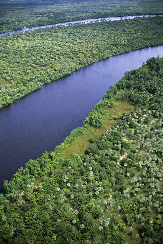 无人,竖图,俯视,航拍,室外,白天,旅游,河流,森林,巴西,地形,树,风景,南美,摄影,南美洲,热带气候,拉丁美洲,鸟瞰,美洲,巴西联邦共和国,亚美利加洲,南亚美利加洲,马拉尼昂,马拉尼昂州,自然地理,彩图,高角度拍摄,旅行,雨林