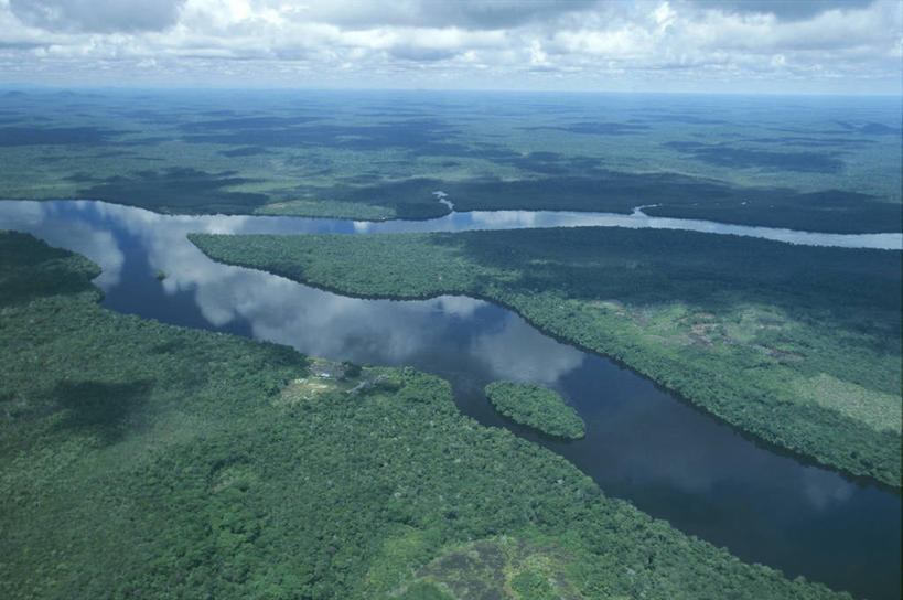 无人,横图,俯视,航拍,室外,白天,旅游,河流,森林,委内瑞拉,地平线,地形,辽阔,地面,树,风景,广阔,摄影,一望无际,热带气候,鸟瞰,延伸,热带雨林,天地相交,无边无际,一马平川,自然地理,彩图,高角度拍摄,旅行,亚马逊雨林,雨林