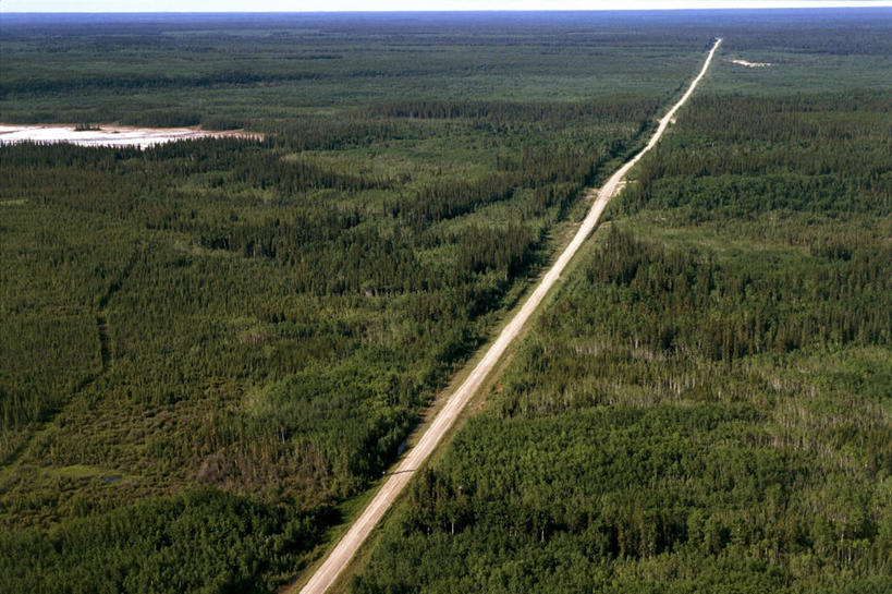 无人,横图,俯视,航拍,室外,白天,旅游,度假,美景,森林,高速公路,加拿大,地形,景观,娱乐,自然,享受,休闲,景色,放松,摄影,宁静,国家公园,鸟瞰,自然风光,木水牛国家公园,彩图,高角度拍摄,5号州际公路