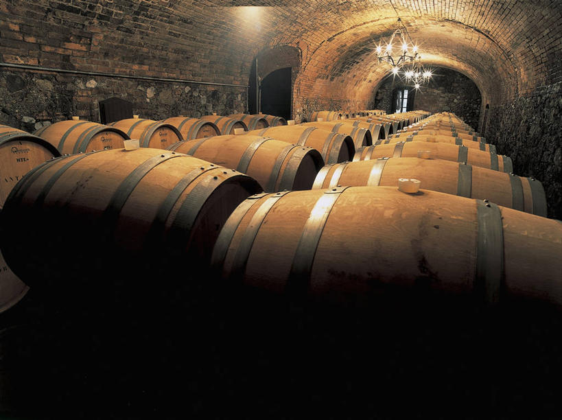 葡萄酒,无人,商店,横图,室内,特写,农业,建筑,静物,意大利,欧洲,一排,许多,整齐,光亮,酒类,很多,图像,饮食,酒窖,酒,饮料,排列,摄影,照亮,照明设备,地中海文化,队列,南欧,主题,水晶吊灯,零售店,构图,翁布里亚大区,彩图,时空,传统文化