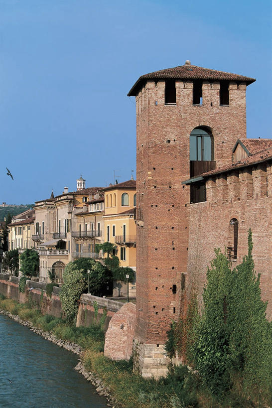 无人,竖图,室外,白天,仰视,植物,建筑,意大利,欧洲,波纹,鸟类,墙,池塘,塔,图像,砖墙,树,蓝色,天空,动物,摄影,人造,地中海文化,南欧,主题,视角,意大利文化,威尼托大区,万里无云,构图,维罗纳,死水,彩图,低角度拍摄,旅行,时空,传统文化,脊椎动物亚门