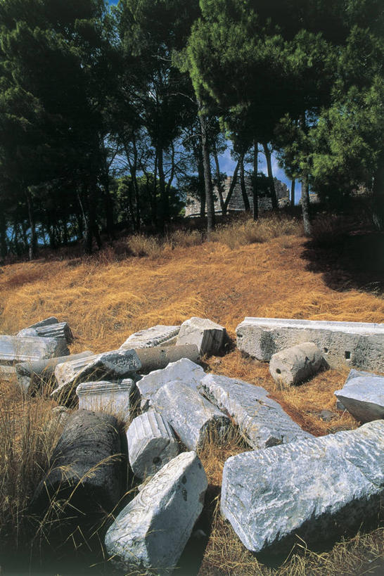 无人,竖图,室外,特写,白天,植物,希腊,欧洲,阴影,图像,历史,废墟,树,摄影,考古学,地中海文化,南欧,主题,干的,爱琴海群岛,构图,古代文明,莱斯博斯岛,彩图,旅行,时空,传统文化,状态