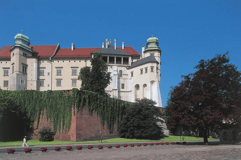 成年人,一个人,教堂,横图,室外,白天,仰视,植物,城市,建筑,路,欧洲,波兰,朦胧,模糊,城堡,墙,围墙,常春藤,酒类,图像,历史,酒,草,树,饮料,蓝色,天空,地标建筑,摄影,宗教,年龄,人造,风格,基督教,宗教建筑,都市风光,主题,视角,东欧,万里无云,蒸馏酒,烈酒,构图,灵性,克拉科夫,小波兰省,步行,彩图,低角度拍摄,旅行,大教堂,时空,瓦维尔主教座堂