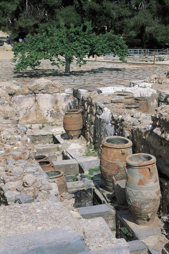 成年人,两个人,竖图,俯视,室外,白天,植物,建筑,希腊,欧洲,阴影,朦胧,模糊,陶瓷制品,图像,历史,废墟,树,容器,陶器,摄影,年龄,人造,粘土,地中海文化,南欧,主题,视角,广口瓶,克里特岛,构图,古希腊,古代文明,矿物质,克诺塞斯,彩图,高角度拍摄,旅行,时空,传统文化