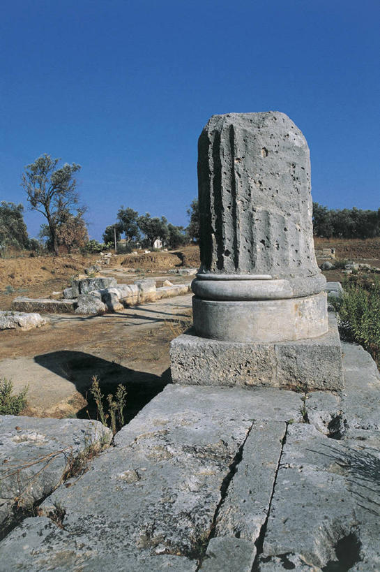 无人,竖图,室外,白天,植物,意大利,欧洲,阴影,地形,图像,历史,废墟,树,天空,摄影,人造,地中海文化,南欧,主题,意大利文化,万里无云,构图,古代文明,卡拉布里亚,彩图,时空,传统文化,状态,雷焦卡拉布里亚