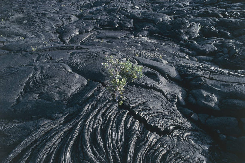 无人,横图,室外,白天,火山,美国,自然灾害,图像,自然,概念,熔岩,摄影,流动,环境,北美,国家公园,主题,美洲,毁灭,自然现象,野地,火山岩,夏威夷群岛,夏威夷火山国家公园,构图,太平洋岛屿,自然地理,活火山,彩图,旅行,时空