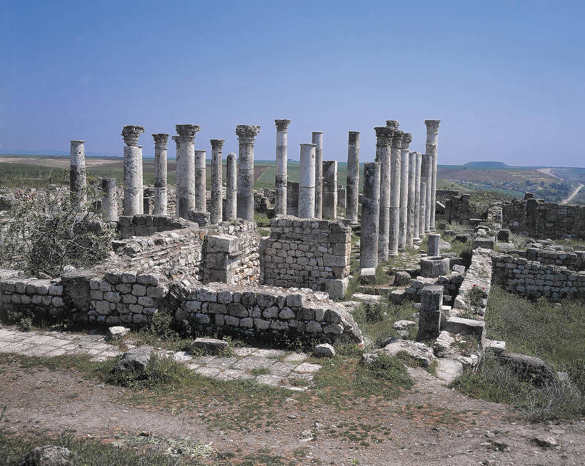 无人,教堂,横图,室外,白天,旅游,度假,美景,建筑,叙利亚,亚洲,材料,柱子,地形,景观,围墙,酒类,图像,历史,娱乐,石墙,废墟,酒,草,饮料,自然,地标建筑,享受,休闲,景色,放松,摄影,宗教,人造,中东,基督教,宗教建筑,地中海文化,自然风光,主题,古典风格,蒸馏酒,烈酒,构图,古代文明,古代史,灵性,彩图,旅行,大教堂,阿帕米亚,毛石,时空,传统文化