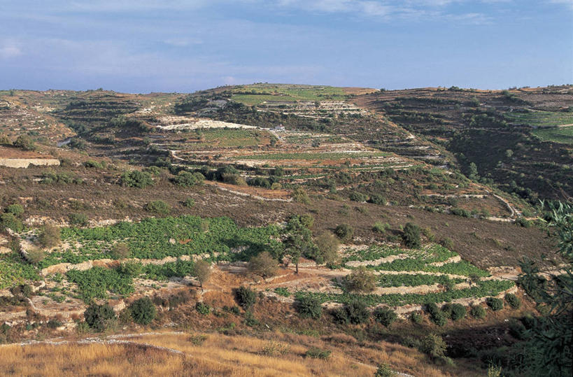 无人,农场,横图,俯视,室外,白天,旅游,度假,农业,梯田,农作物,石头,美景,山,山脉,峡谷,植物,塞浦路斯,亚洲,石子,地形,景观,田地,云,山谷,图像,娱乐,树,天空,自然,享受,休闲,景色,放松,摄影,人造,中东,岩层,地中海文化,南欧,自然风光,主题,自然现象,视角,地貌,构图,利马索尔,石块,岩石,彩图,高角度拍摄,旅行,时空,传统文化