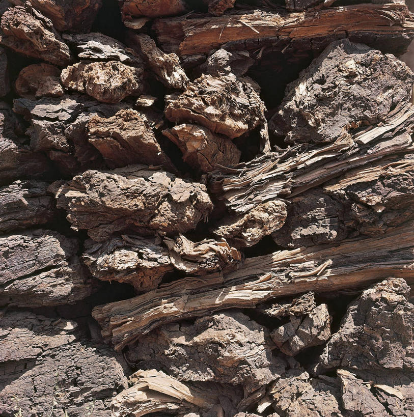 无人,方图,室外,特写,粗糙,木制,图像,自然,概念,摄影,毛糙,主题,自然现象,构图,地质学,想法,矿物质,烘干,自然地理,岩石,彩图,时空,粗拙,柴火,状态