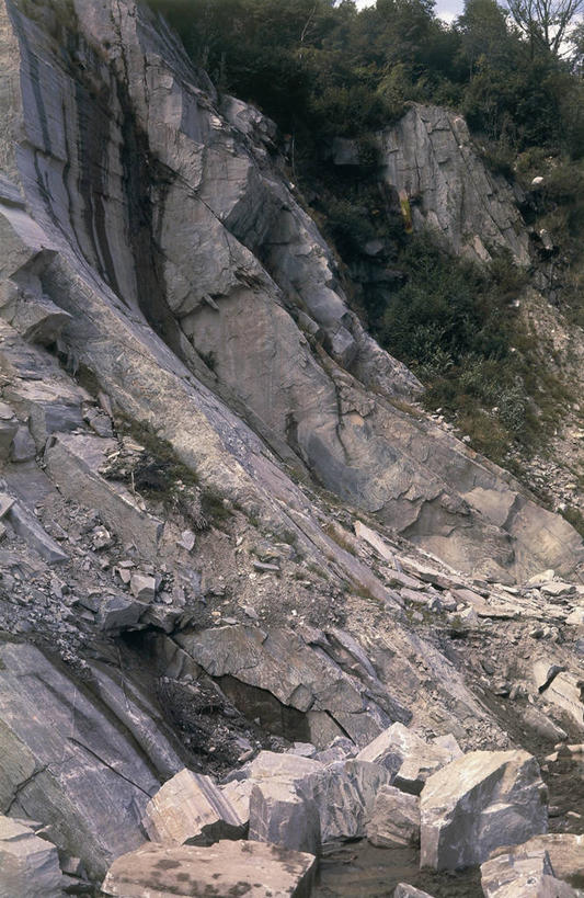 无人,竖图,室外,特写,植物,粗糙,图像,树,自然,生物,摄影,灌木,毛糙,岩层,主题,自然现象,地貌,构图,地质学,矿物质,变质岩,片麻岩,自然地理,岩石,彩图,时空,粗拙,状态