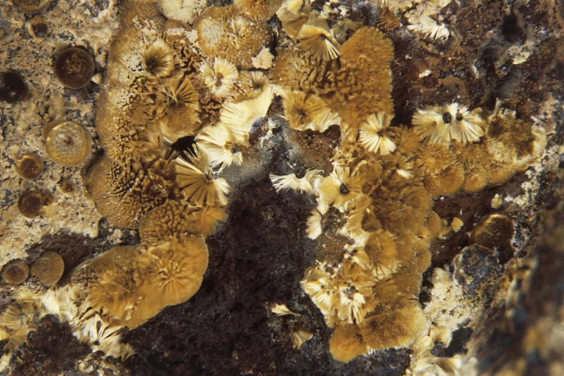 无人,横图,特写,背景,粗糙,金属,图像,自然,概念,摄影,毛糙,主题,自然现象,铝,构图,地质学,想法,矿物质,自然地理,岩石,彩图,全画面,全框架,全帧,磷酸盐,全画幅,粗拙,状态