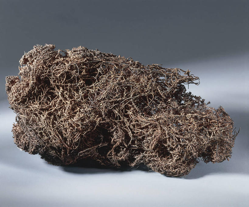 无人,横图,室内,特写,金属,图像,一个,风景,自然,摄影,单个,铜,干的,构图,彩图,影棚拍摄,状态