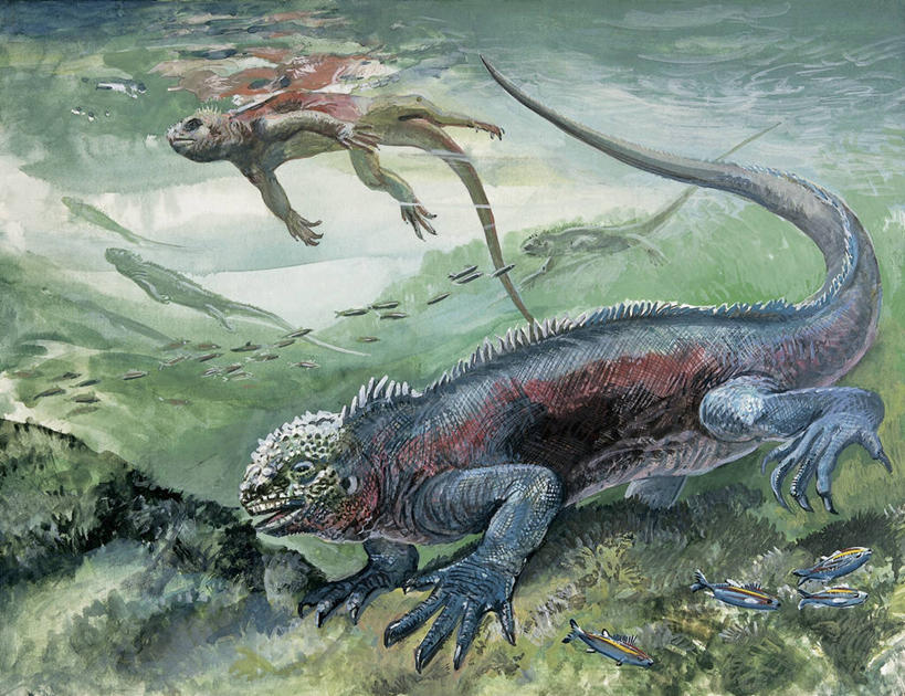 游泳,无人,横图,插画,特写,白天,侧面,数码,科技,水下,水,野生动物,蜥蜴,一群,许多,阴影,网络,鬣蜥,很多,高光,几何,计算机图形,合成,图像,图画,画,动物,生物,电脑合成图,数码合成图,生物学,合成图,主题,自然现象,漫画,视角,计算机制图,石龙子,泉龙,猪婆蛇,四脚蛇,写实,具体,具象,蜴,构图,海鬣蜥,濒危物种,彩图,时空,动物学,脊椎动物亚门