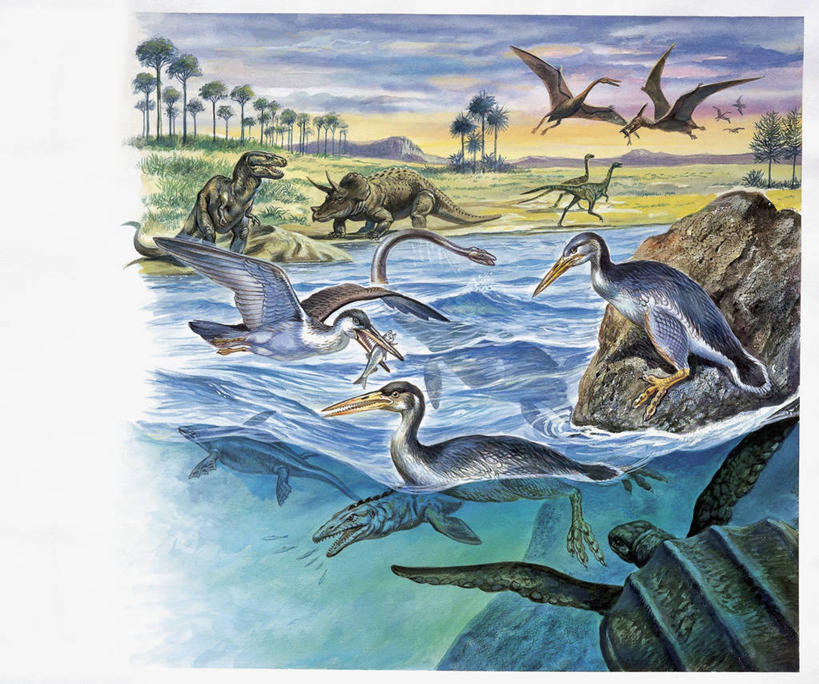 游泳,无人,横图,插画,室外,白天,数码,科技,植物,龟,野生动物,一群,许多,阴影,网络,鸟类,池塘,很多,高光,几何,计算机图形,合成,图像,图画,历史,飞,画,树,动物,生物,恐龙,水禽,电脑合成图,数码合成图,生物学,合成图,主题,自然现象,漫画,计算机制图,写实,具体,具象,构图,古代史,地质学,死水,史前时代,翼手龙,岩石,彩图,时空,动物学,白垩系,古生物学,脊椎动物亚门