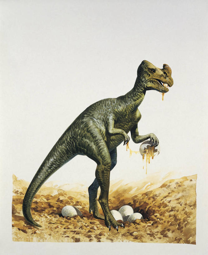 无人,站,吃,竖图,插画,室外,白天,侧面,数码,科技,野生动物,阴影,科学,网络,高光,几何,计算机图形,合成,图像,图画,历史,画,动物,概念,生物,恐龙,考古学,电脑合成图,数码合成图,生物学,合成图,主题,漫画,视角,计算机制图,写实,具体,具象,卵,构图,偷蛋龙,侏罗纪,古代史,进化,地质学,史前时代,彩图,时空,动物学,白垩系,过去,古生物学,脊椎动物亚门