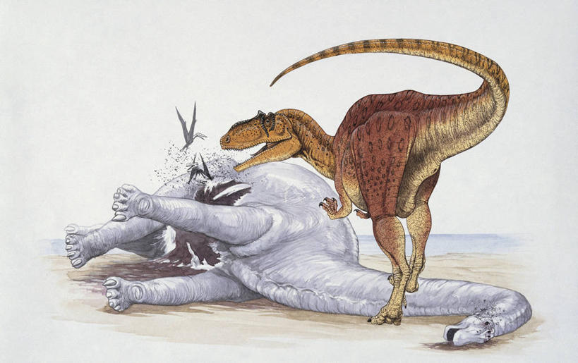 无人,站,横图,插画,室外,白天,数码,科技,哺乳动物,野生动物,阴影,科学,网络,尾巴,捕食,高光,几何,计算机图形,合成,图像,图画,历史,画,天空,动物,两只,概念,生物,恐龙,死亡,电脑合成图,数码合成图,生物学,合成图,主题,自然现象,漫画,计算机制图,写实,具体,具象,构图,侏罗纪,古代史,进化,地质学,史前时代,颈,彩图,食物链,时空,动物学,过去,古生物学,脊椎动物亚门