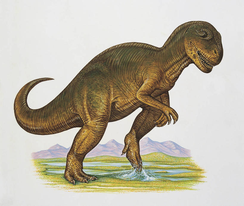 无人,横图,插画,特写,白天,白色背景,数码,科技,山,山脉,哺乳动物,野生动物,阴影,科学,网络,池塘,高光,几何,计算机图形,合成,图像,图画,历史,画,白色,天空,动物,概念,生物,恐龙,电脑合成图,数码合成图,生物学,合成图,主题,自然现象,漫画,计算机制图,地貌,写实,具体,具象,构图,异特龙,侏罗纪,古代史,进化,地质学,死水,史前时代,步行,彩图,动物学,过去,古生物学,脊椎动物亚门