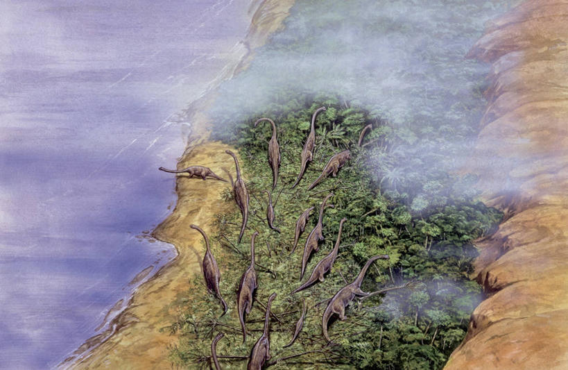 无人,横图,俯视,插画,室外,白天,数码,科技,海洋,水,植物,野生动物,一群,许多,阴影,科学,网络,海岸线,很多,高光,几何,计算机图形,合成,图像,图画,历史,画,树,天空,动物,概念,生物,恐龙,食草动物,电脑合成图,数码合成图,生物学,合成图,主题,自然现象,漫画,视角,偶蹄目,计算机制图,写实,具体,具象,构图,侏罗纪,古代史,进化,地质学,腕龙,史前时代,彩图,高角度拍摄,时空,动物学,过去,古生物学,脊椎动物亚门