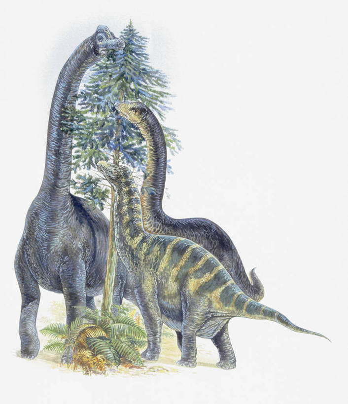 无人,吃,竖图,插画,室外,白天,数码,科技,植物,哺乳动物,野生动物,叶子,三只,阴影,科学,网络,高光,几何,计算机图形,合成,图像,图画,历史,画,树,天空,动物,概念,生物,恐龙,食草动物,电脑合成图,数码合成图,生物学,合成图,主题,自然现象,漫画,偶蹄目,计算机制图,写实,具体,具象,构图,侏罗纪,古代史,进化,地质学,腕龙,史前时代,彩图,重龙,时空,动物学,过去,古生物学,脊椎动物亚门