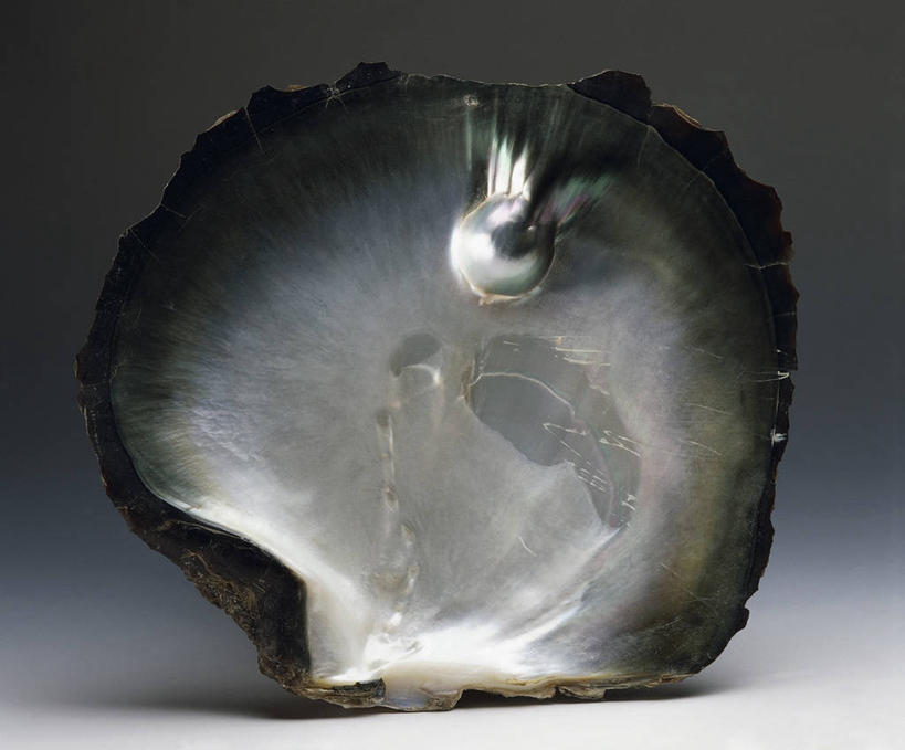 无人,横图,室内,特写,静物,贝壳,粗糙,牡蛎,图像,一个,自然,摄影,单个,矿产,毛糙,矿物,主题,自然现象,构图,地质学,矿物质,自然地理,彩图,影棚拍摄,时空,珠母,粗拙,状态,金属矿产