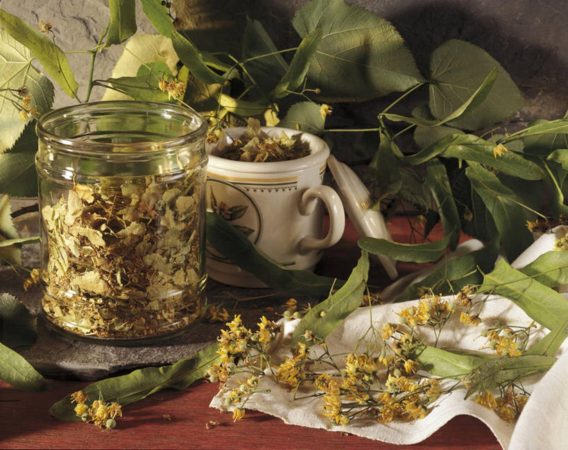 无人,横图,室内,特写,静物,叶子,许多,很多,饮食,花朵,餐巾,马克杯,干花,摄影,广口瓶,彩图