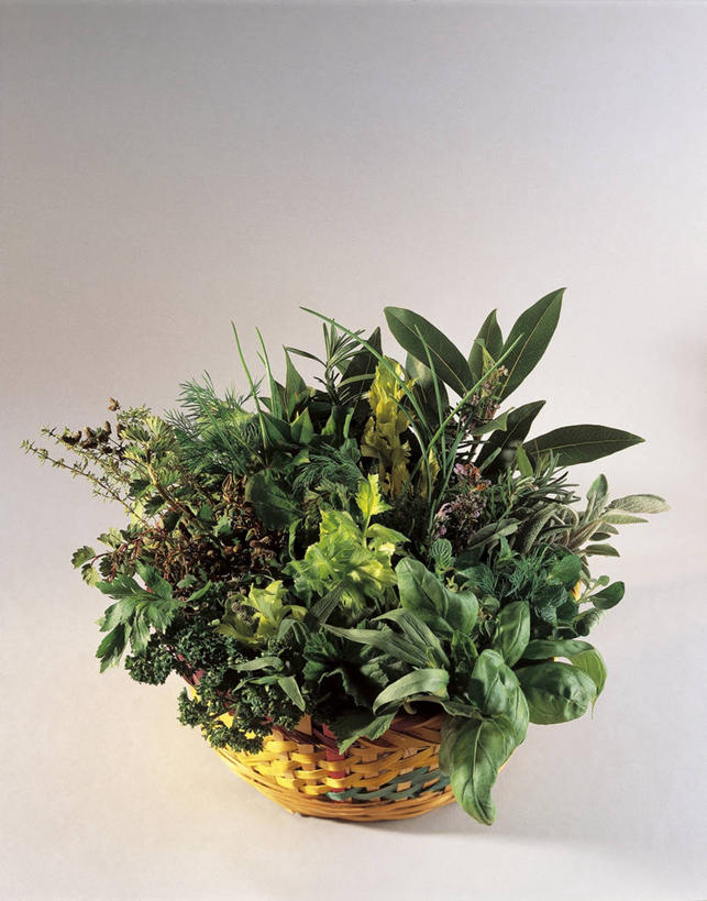 无人,竖图,室内,特写,静物,叶子,篮子,串,捆,饮食,绿色,摄影,欧芹,多样,鼠尾草,草本,清新,健康食物,彩图,影棚拍摄