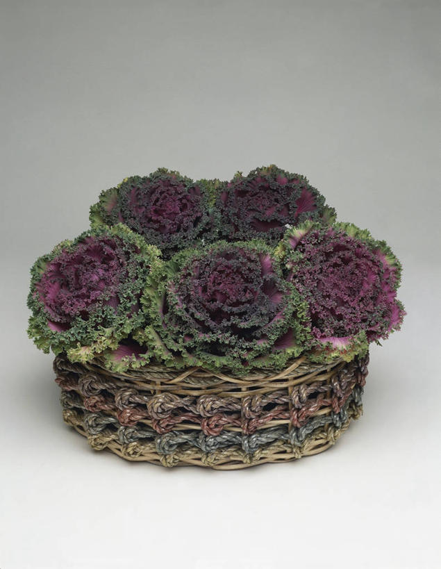 芥末,无人,竖图,室内,特写,植物,叶子,篮子,一个,自然,芥菜,摄影,生长,单个,彩图,影棚拍摄