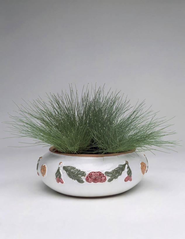 无人,竖图,室内,特写,植物,花盆,园艺,一个,自然,摄影,生长,单个,莎草,设计,彩图,影棚拍摄