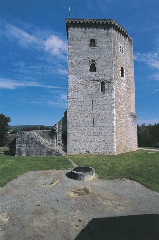 无人,竖图,室外,白天,仰视,建筑,法国,欧洲,阴影,云,塔,历史,砖墙,废墟,树,天空,摄影,西欧,地中海文化,法兰西,法兰西共和国,阿基坦,法兰西第五共和国,亚魁当,阿基坦大区,彩图,低角度拍摄,比利牛斯.大西洋省,过去